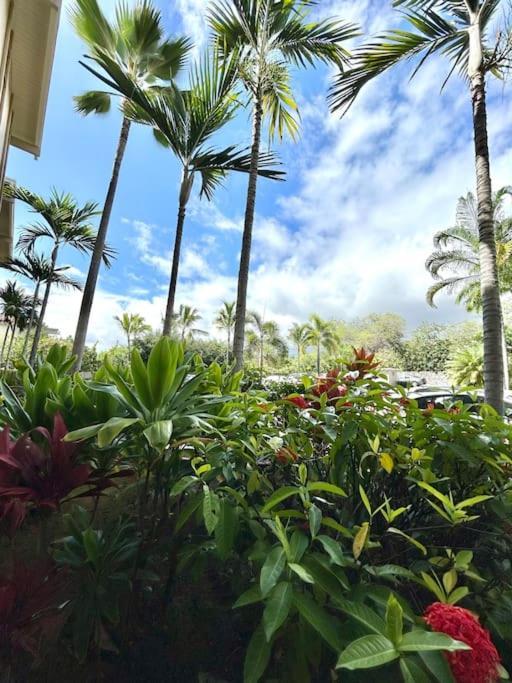 Amazing Condo Peaks Of Ocean View On Ali'I Dr By Surf Spots Kailua-Kona Exterior foto